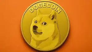 doge24's Avatar