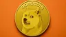 doge24's Avatar