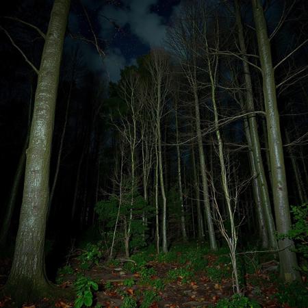 old, german forest with secrets and horrors lurking in the shadows, red eyes of monsters lurking in the darkness, mysticism of germany, night sky, stars and clouds, modernity