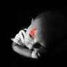 Vizzl's Avatar