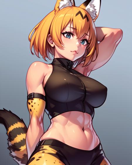 <lora:XXOOM:0.9>
1girl, solo, serval \(kemono friends\), cat ears, cat tail, muscular female, midriff, :3