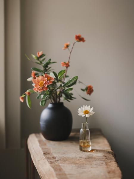 simple background still life flowers