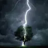 Ternvein's Avatar