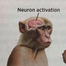Neuron_Activation