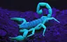scorpiomaj27's Avatar