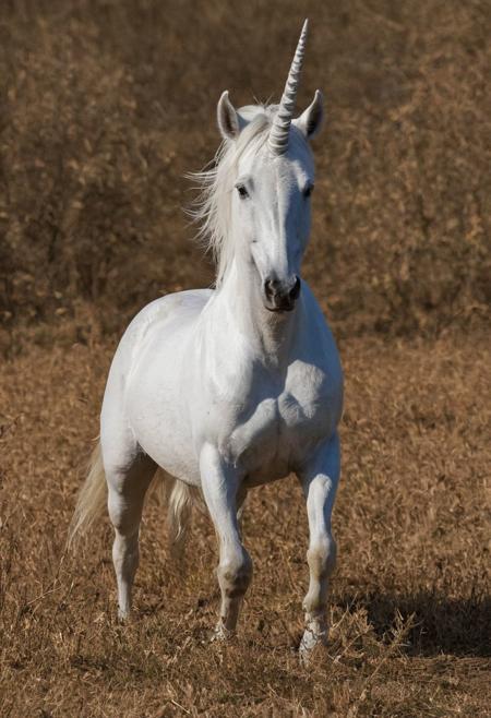 Nikon Z9, NIKKOR Z 400mm f/2.8 TC VR S,   photograph of hunting trophy of a unicorn  , high resolution, high contrast, ray og light, light on the eyes, hard shadow, ENF, Embarrassed, from distance, national geographic cover