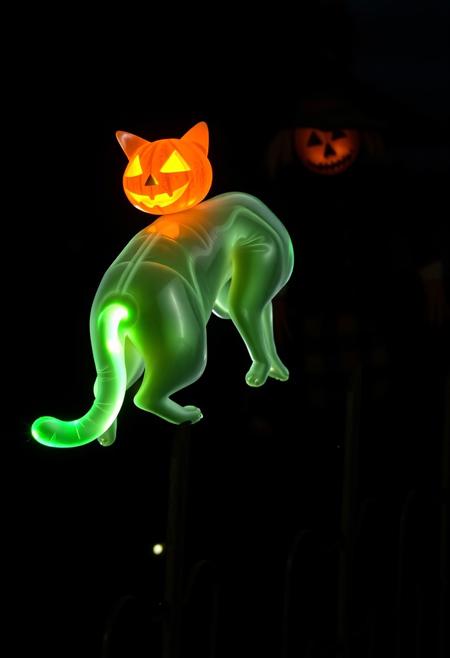 Transparent ghost cat walking on top of fence, with pumpkin instead of head, green light on the tail, scarecrow with glowing eyes in the background, gloomy atmosphere, night,