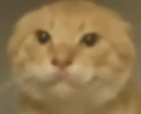 moonball's Avatar