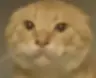 moonball's Avatar