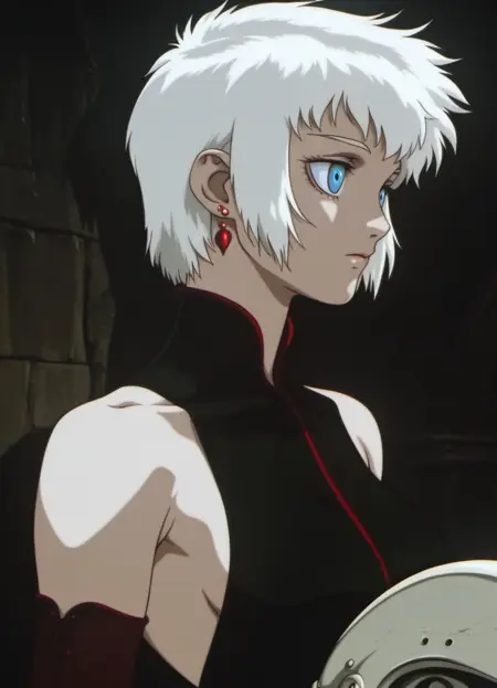 《Vampire Hunter D》STYLE