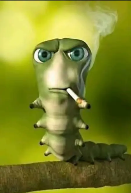 A0opoo_8's Avatar