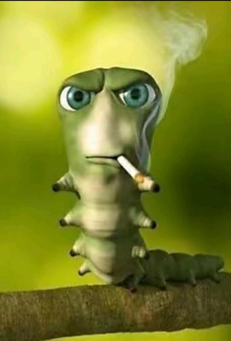 A0opoo_8's Avatar