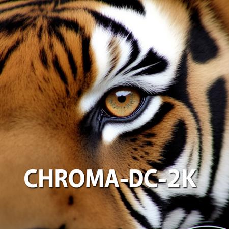 Chroma-Flash-Heun-pruned Rank 32