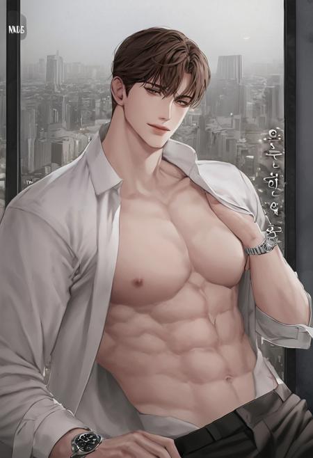 Novel Cover v1.0