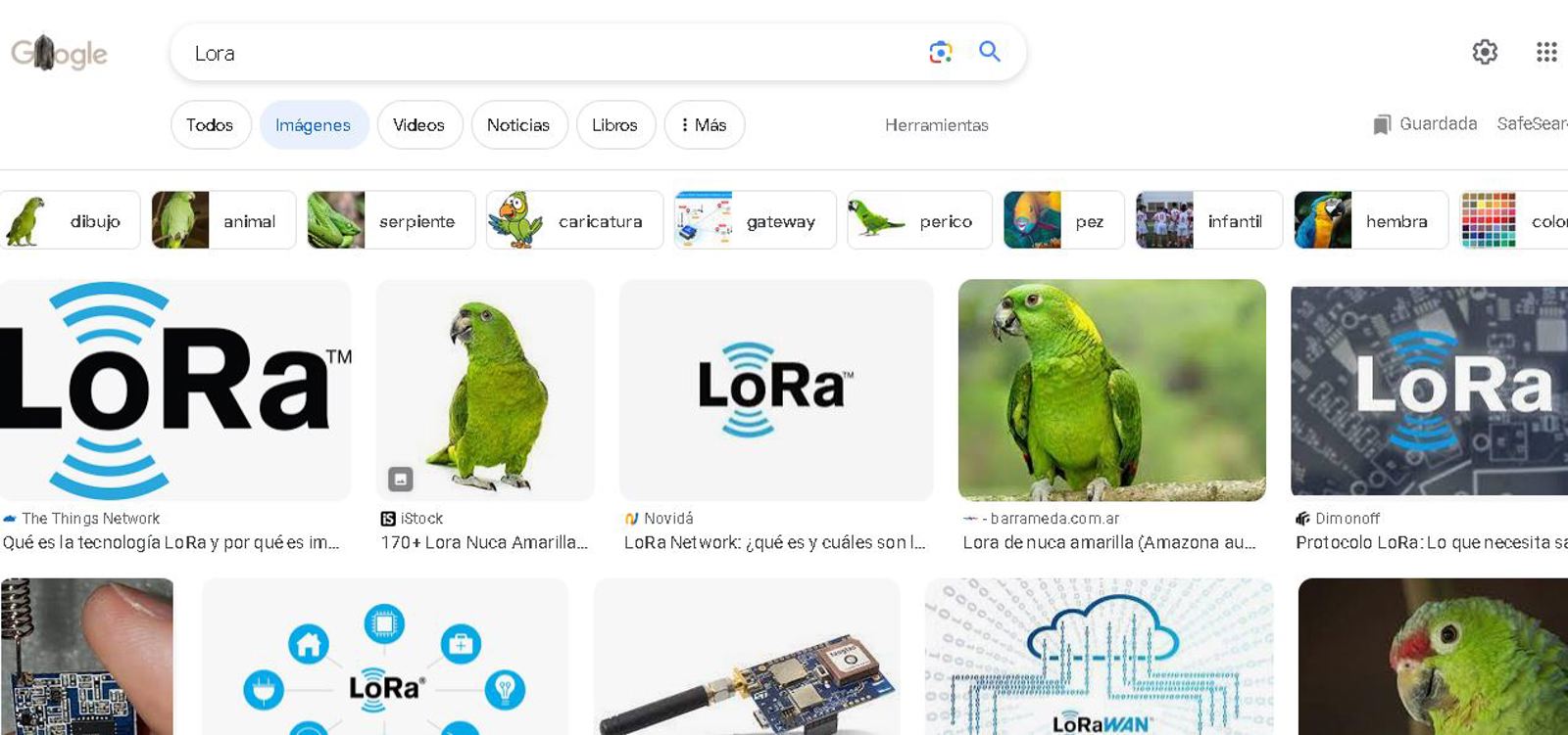 Make a Lora following the images