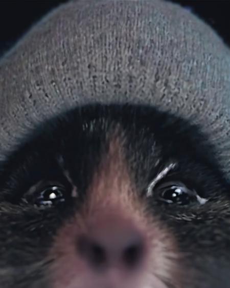 bwp-face, bwp-style, nighttime, close-up, scared and crying (hamster:1.3) wearing a grey beanie, dark forest background, cropped, movie, (animal focus:1.1), lowkey, film grain,  <lora:- SDXL - bwp-style_blair_witch_project1999_V1.0:.8> <lora:- SDXL - n-eeyblch_eye_bleach_V1.0:-.5>