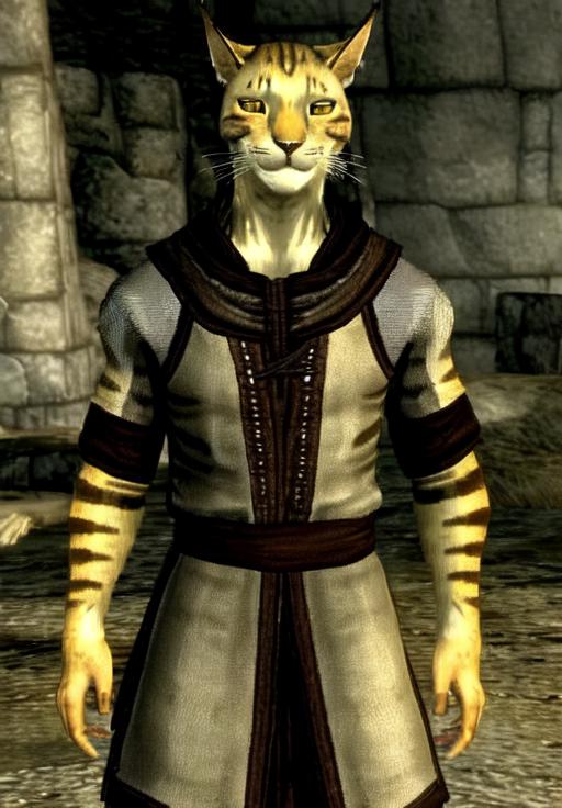 Khajiit - Skyrim (Character Style) image by AsaTyr