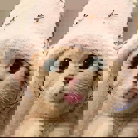 sorcererofhotmagic's Avatar