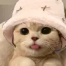 sorcererofhotmagic's Avatar
