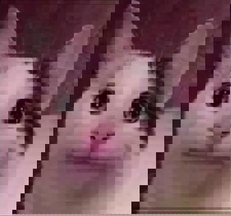 P8yAbQM4's Avatar