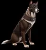 SeizureDogs's Avatar