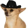 Tio_Tnk's Avatar