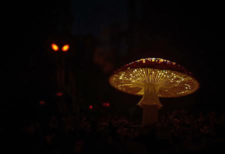 a dark horror scene, in the foreground a beatyfull glowing mushroom on the ground, silhouette, dwarfed by a dark jungle in the background, tiny dot like glowing insects, ultra detailed, dimm unreal dark night, mix of documentary and splater horror. fine soft fog, dim red glow, enpowering the contrast of the low angle shot, 2 scary looking eyes in the dark jungle,. camera slowly moves to the mushroom showing the detail of the colorfull glowing lights on it. creating pattern of natural wonder.
Shot with a full-frame DSLR, 85mm lens at f/1.8 for shallow depth of field, ISO 400, 1/100 shutter speed. Natural light enhanced with slight post-processing contrast boost and dramatic tone grading. balancing organic beaty with macabre cartoon,