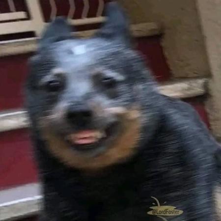 DogMan2's Avatar
