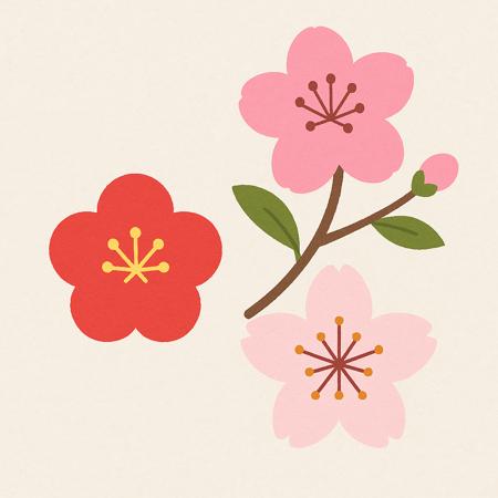ume_momo_sakura's Avatar