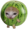Manityro