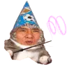 Vzhukhichan's Avatar