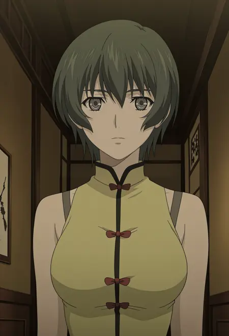 COMMISSION-Ein-Phantom-Requiem for the Phantom-IL