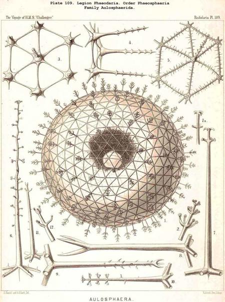 HMS Haeckel plates sdxl v2 SDXL