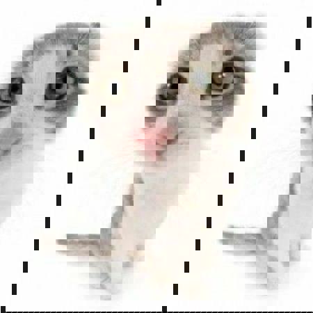 IGN928's Avatar