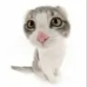 IGN928's Avatar