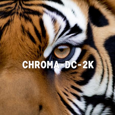 Chroma-Flash-Heun Rank 02