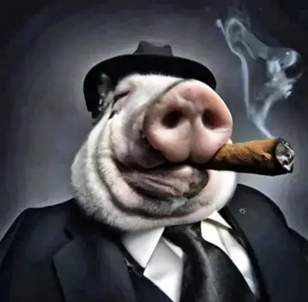 Kokolaber's Avatar
