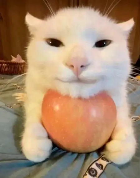 DopaminButton's Avatar
