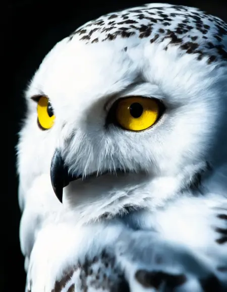 Reakaaka's enhancer [Pony v7]