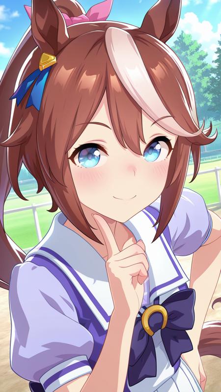 闪耀！优俊少女 [游戏画风]（Umamusume [Game style]） IllustriousXL