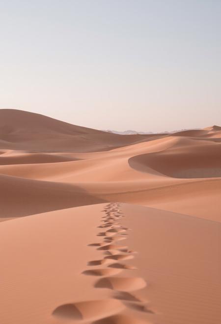 the silence of a desert