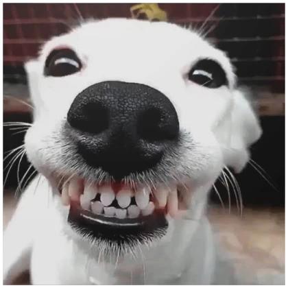 MSPaint_On_Steroids's Avatar