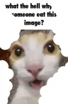 dylan1994's Avatar