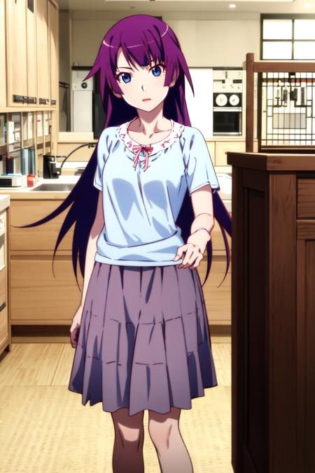 hitagisenjougahara, 1girl, solo, long hair,  blue shirt, looking at viewer, blue eyes, brown skirt, skirt, standing, purple hair, senjougahara hitagi,
house, home, upper boy shot,
<lora:hitagi-senjougahara-v6:1>