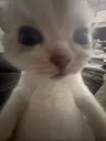 MrGonnerX's Avatar