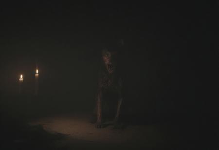 A nightmarish, occult ritual in a dark, decrepit chamber with crumbling stone walls and flickering, blood-soaked candles casting grotesque shadows. In the center, a nightmarish cat, its fur blackened and twisted as if it were rotting, stares directly at the viewer with inhuman, hollow eyes that glow with a sickly, malevolent yellow light. Its body is unnaturally elongated, with jagged, broken bones visible beneath its fur, and its claws are abnormally long, twisted into horrifyingly sharp talons. The cat's face is contorted into an unsettling grin, its mouth twisted in a way that defies nature, revealing rows of sharp, broken teeth. The ritual circle beneath it is smeared with dark, thick blood and sinister runes that pulse with dark energy, glowing faintly as if alive. Around the cat, sinister, shadowy figures cloaked in tattered black robes are performing an unholy chant, their faces obscured by shadows, but their long, skeletal hands extend outward toward the creature. In the background, strange, ancient tomes lie open, filled with incomprehensible symbols. The air is thick with a pungent, decaying smell, and the atmosphere is charged with an unbearable, oppressive sense of dread. The scene is hyper-realistic, with every horrifying detail — the contorted limbs, the bloodstains, the unnatural expression on the cat — painstakingly rendered, creating an overwhelming sense of terror and impending doom