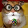 DudeGque's Avatar