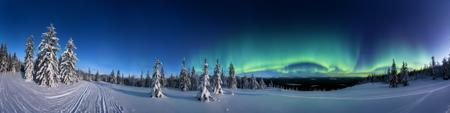 A 360 degree panorama shot of a quiet snowy Norwegian forest at nautical twilight, with a dark-blue sky glow from the fading light, ultra_detailed, 8k, serene and peaceful, winter calm, faint wispy wavy ribbons and bands of aurora can be seen low on the horizon,
Stable_Yogis_PDXL_Positives