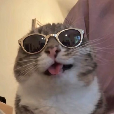 Flux2 Klein Single/Dual Image Edit 9B Distilled with Lora Support v2.0