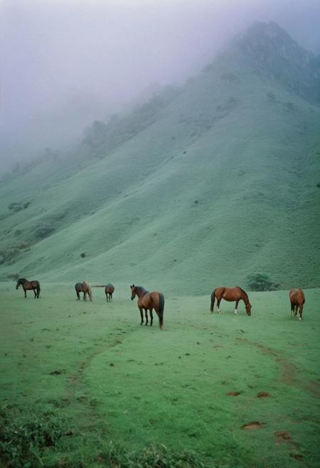 soaked_tea_brand, a foggy mountain somewhere in asia with some horses on the ground and birds in the sky, soft shadows, filmgrain